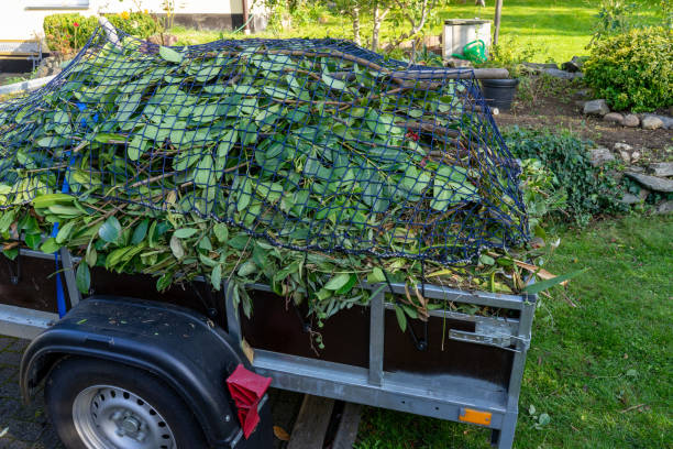 Best Same-Day Junk Removal Services  in Elm Springs, AR